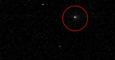 Space agency breaks silence on 'foreign' interstellar visitor