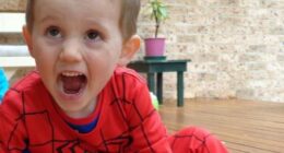 Spider-Man suit found at property near where William Tyrrell vanished is ruled out