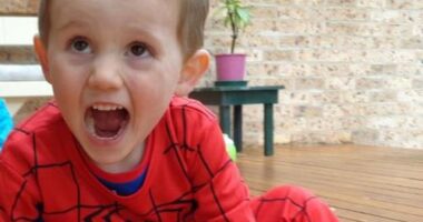 Spider-Man suit found at property near where William Tyrrell vanished is ruled out