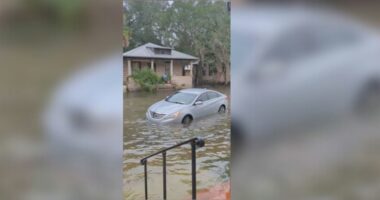 St. Augustine residents weigh in on new 'No Wake' law during tidal flooding