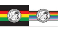 St. Pete council member to propose alternate city flags for Pride, Black History Month