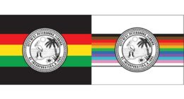 St. Pete council member to propose alternate city flags for Pride, Black History Month