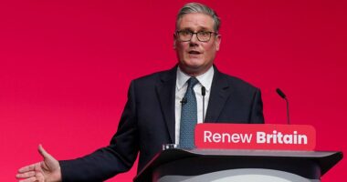 Starmer’s digital ID work requirement sparks uproar from UK's left and right