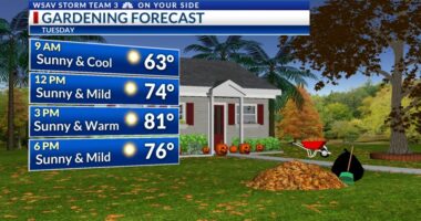 Storm Team 3: Seasonable afternoons ahead, cooler late-week temperatures