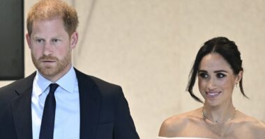 Sussexes head to NY for award - as Duke's charity faces Chad claims