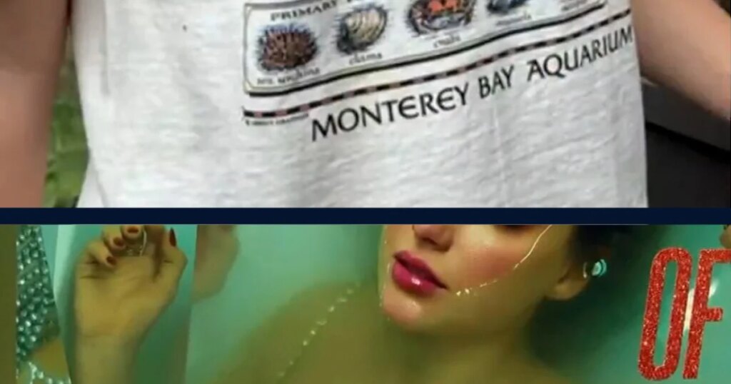 Swifties raise $2 million for Monterey Bay Aquarium