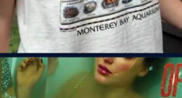 Swifties raise $2 million for Monterey Bay Aquarium