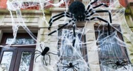 Sydney councils warn against Halloween decorations