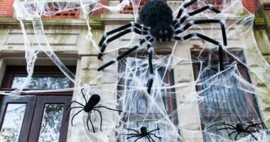 Sydney councils warn against Halloween decorations