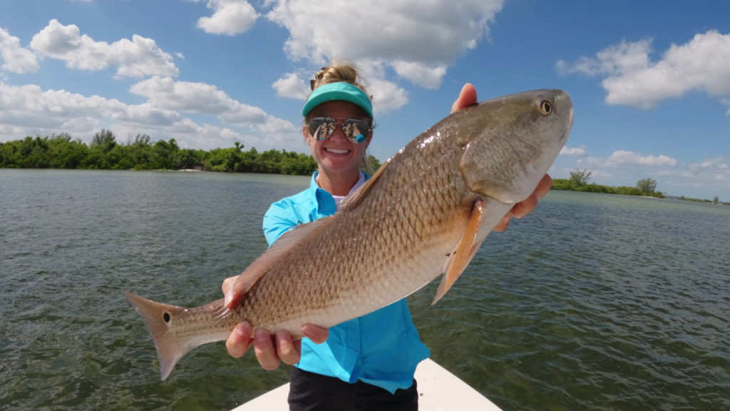 Tampa Bay Waterkeeper is working to protect our local watershed