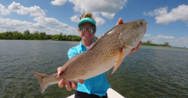 Tampa Bay Waterkeeper is working to protect our local watershed