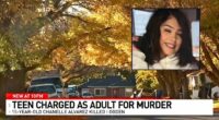 Teen with 'nowhere to stay' kills girlfriend at her home: DA
