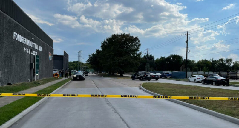 Texas Murderer Kills 3 in Houston Shooting Spree, Then Turns Gun on Himself