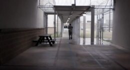 Texas corrections officer arrested over alleged chicken wing deal with inmate