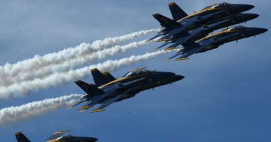 The Blue Angels won't perform at the Sea & Sky Air Show, City of Jacksonville announces