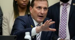 The Left's most fervent, and most wrong, attack dog: NY's Rep. Dan Goldman