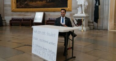The Memo: Anti-Trump opposition leans into mockery to get under his skin