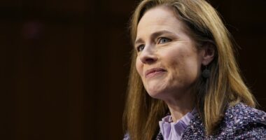 The Voting Rights Act Probably Won't Be 'Gutted,' but the Supreme Court Appears Set to Restrain It