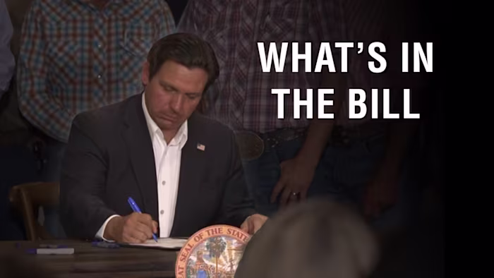 These 15 Florida bills were just filed. Here’s what happens if they become law