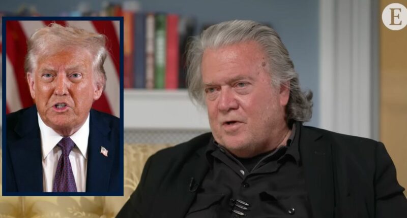 Third Trump term 'would be illegal, period': Law professor