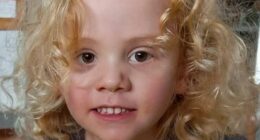 Missing four-year-old Gus