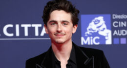 Timothee Chalamet's Favorite Movie Is The Best Superhero Film Ever Made