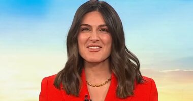 Today's Sarah Abo puts on brave face after bombshell claims