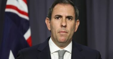 Treasurer Dr Jim Chalmers at a press conference at Parliament House in Canberra on Monday 13 October 2025. fedpol Photo: Alex Ellinghausen