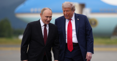 Trump, Putin plan Hungary meeting on Ukraine war, Zelenskyy to visit White House Friday