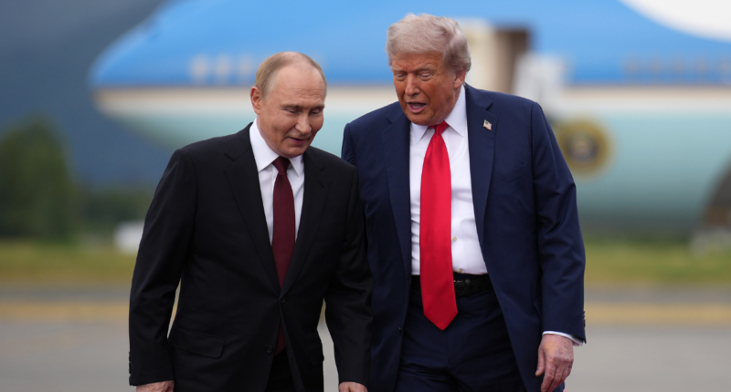 Trump, Putin plan Hungary meeting on Ukraine war, Zelenskyy to visit White House Friday