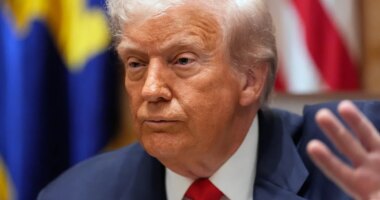 President Donald Trump speaks during a meeting with Argentina