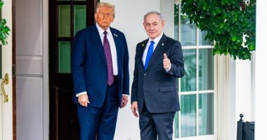 Trump announces Israel agrees to Gaza 'initial withdrawal line' as '3,000 year catastrophe' nears end