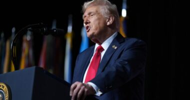 Trump-endorsed candidate wins special House GOP primary in Tennessee