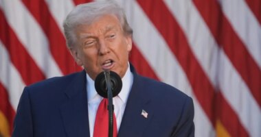 Trump hosts ballroom donors for White House dinner