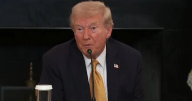 Trump says friend cut $130M check for military amid shutdown