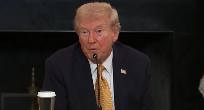 Trump says friend cut $130M check for military amid shutdown
