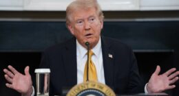 Trump says he's ending trade talks with Canada over TV ads