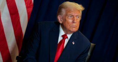 Trump says talks with Hamas have been ‘very successful, and proceeding rapidly’