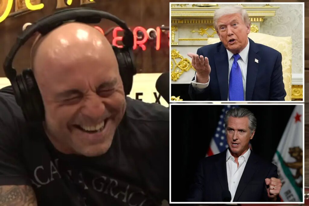 Trump should replace Gavin Newsom as California governor