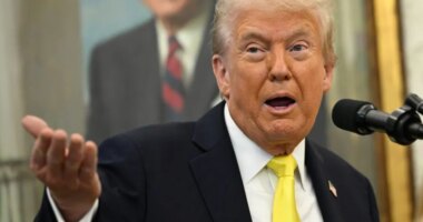 Trump slams 'stupid and outdated' blue slip rule for nominees
