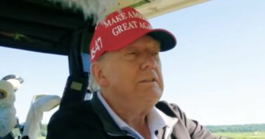 Trump squashes rumors about Barron struggling at college