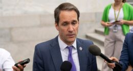 Trump use of funds to pay troops 'probably not' legal, says Democrat