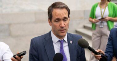 Trump use of funds to pay troops 'probably not' legal, says Democrat