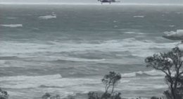 Two men were found unresponsive in waters at Frankston Beach this afternoon. The pair could not be revived.