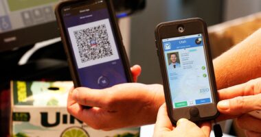UK faces backlash over mandatory Digital ID — could US be next?