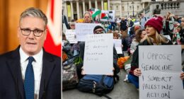 UK warns Palestinian protest group to stand down after synagogue attack: 'Respect the grief of British Jews'