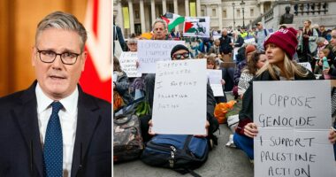 UK warns Palestinian protest group to stand down after synagogue attack: 'Respect the grief of British Jews'