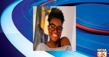 UPDATE: Missing woman located, Champaign Co. Sheriff’s Office says