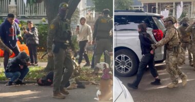 US citizen, 67, suffers broken ribs after Border Patrol agents drag him out of car in shocking video: report