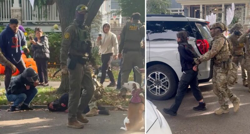 US citizen, 67, suffers broken ribs after Border Patrol agents drag him out of car in shocking video: report